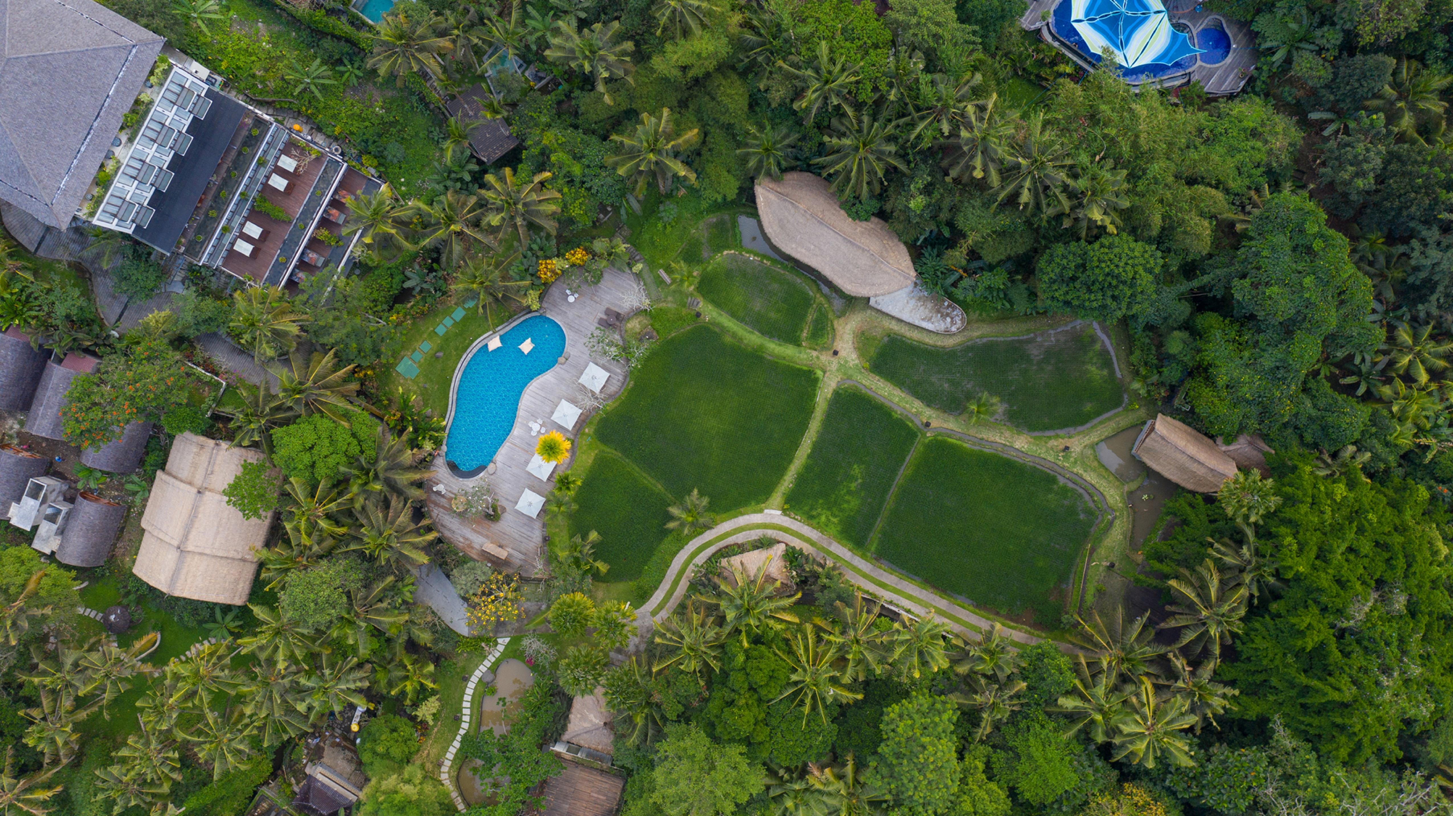 Plataran Ubud Hotel & Spa - Chse Certified Esterno foto